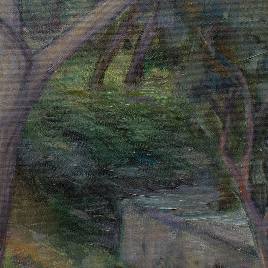 eucalyptus tree detail 3