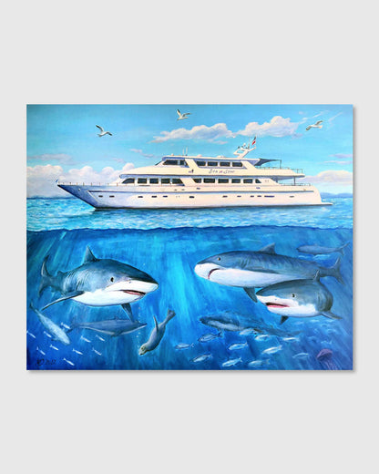 Sharks and a yacht